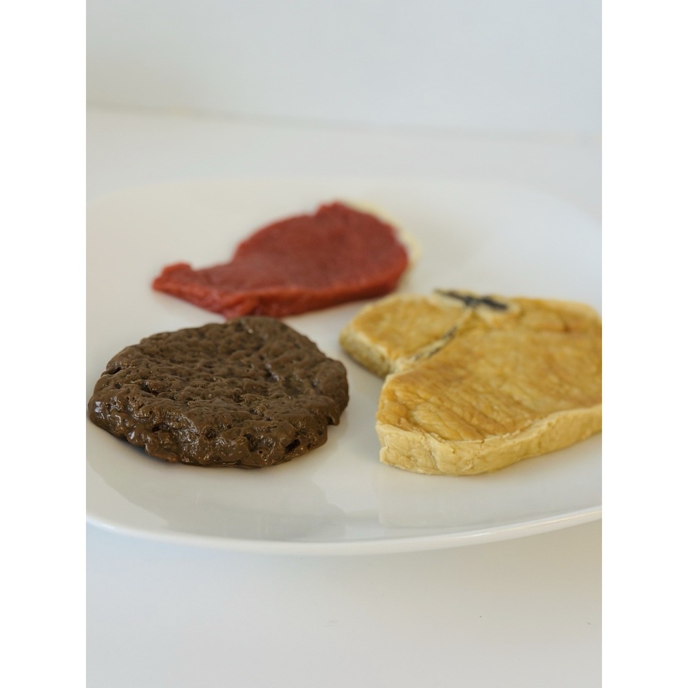 Nasco Nutrition Faux Prop Food Display Steak , Pork Chop And Hamburger